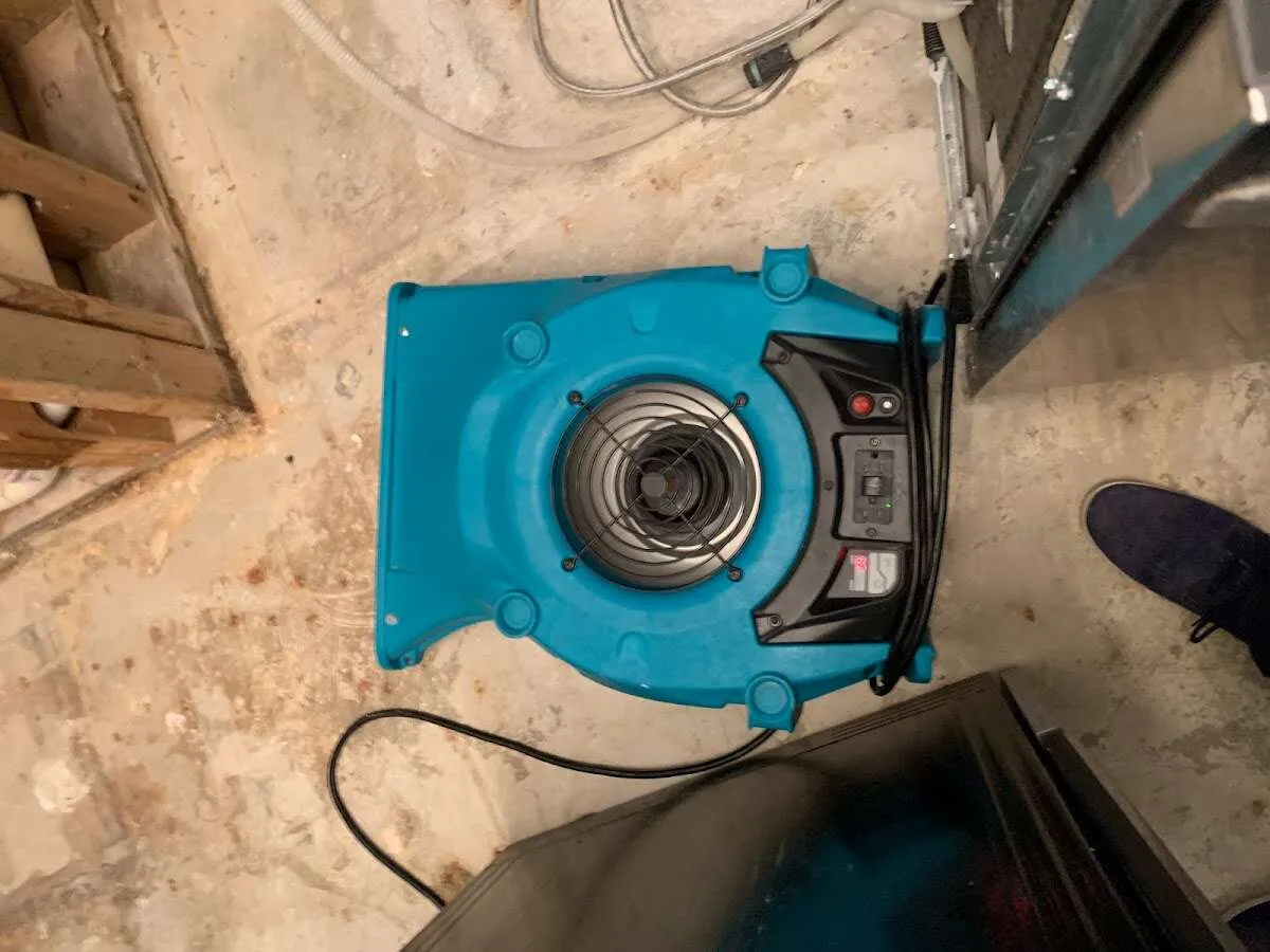 Air mover drying equipment for Mold Remediation & Removal in Flower Hill